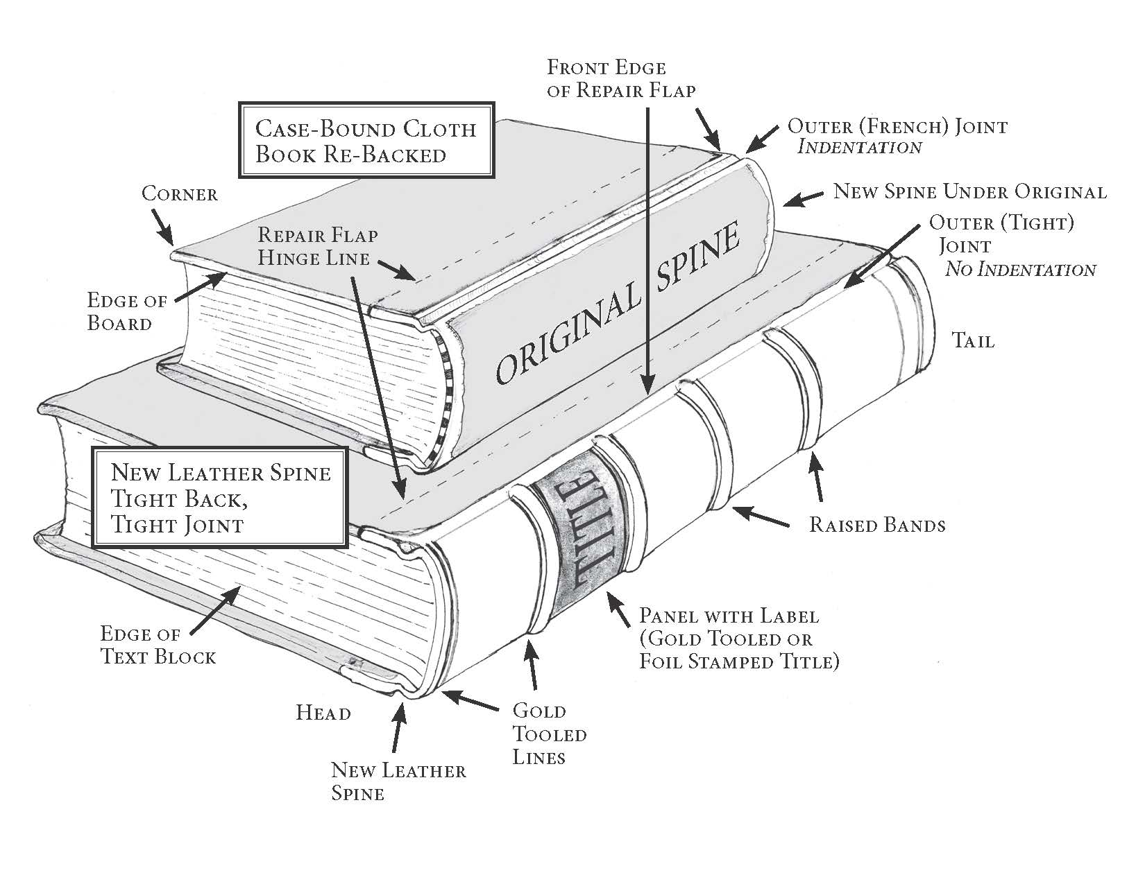 Master Book Anatomy: Learn the Basics of Book Structure (Free Course)
